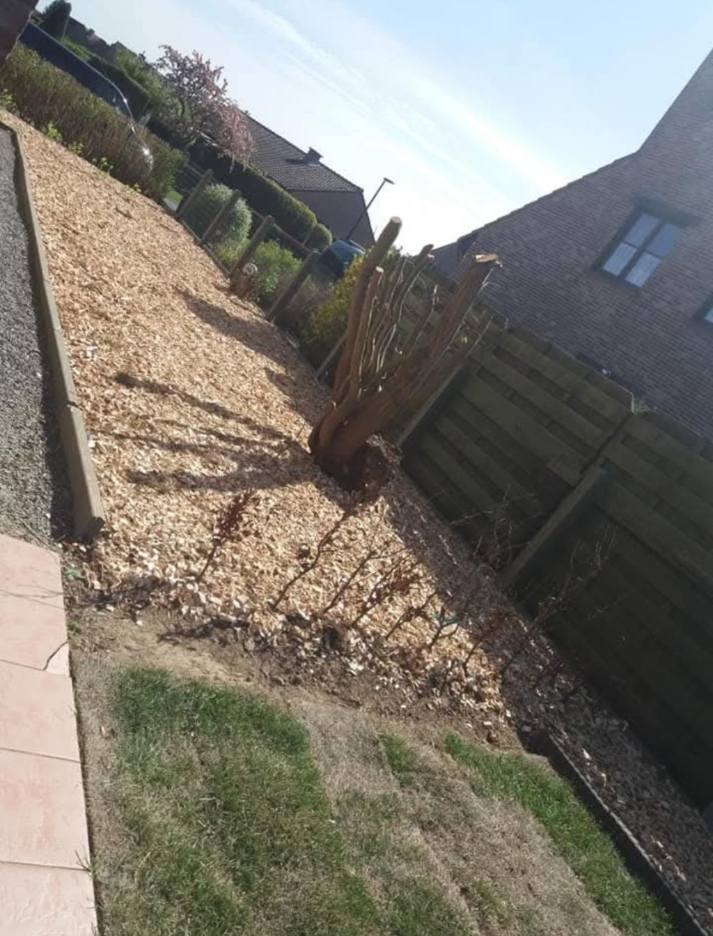 Volledige heraanleg tuin en voortuin