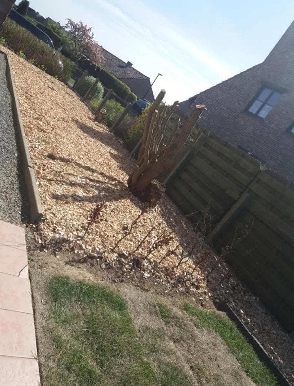 Volledige heraanleg tuin en voortuin
