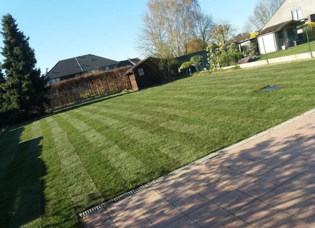 Volledige heraanleg tuin en voortuin