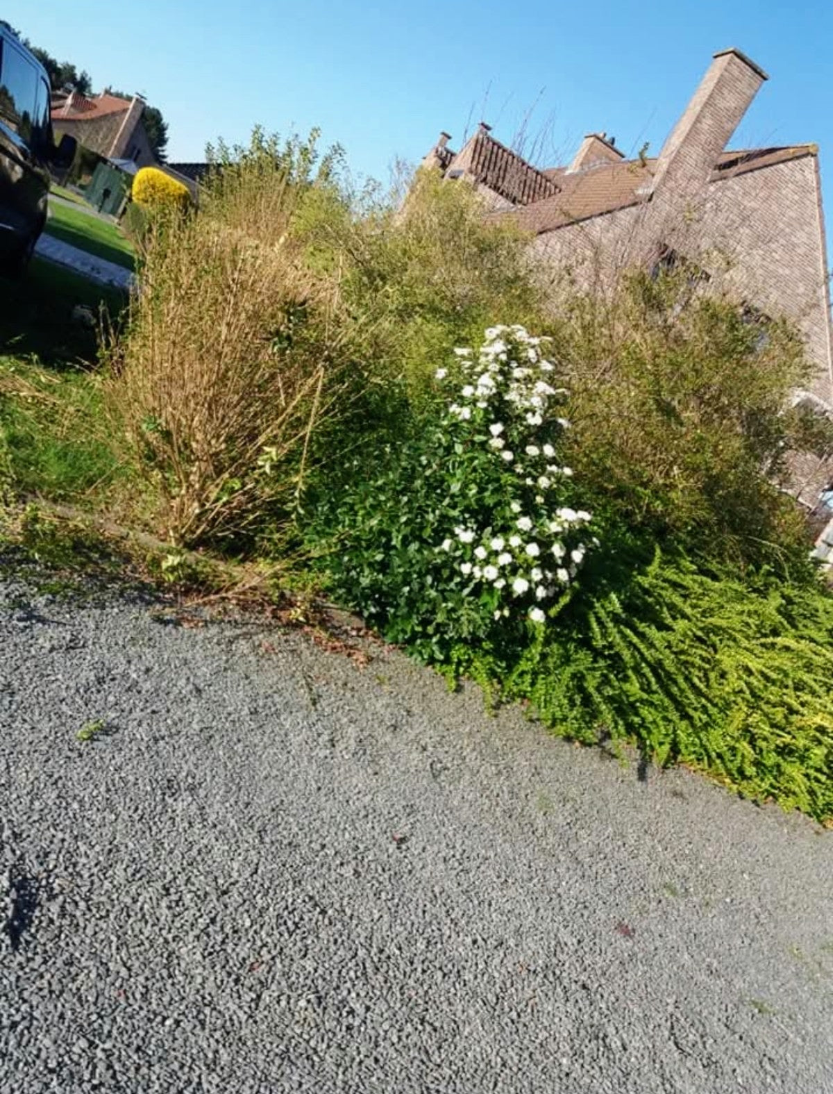 Volledige heraanleg tuin en voortuin