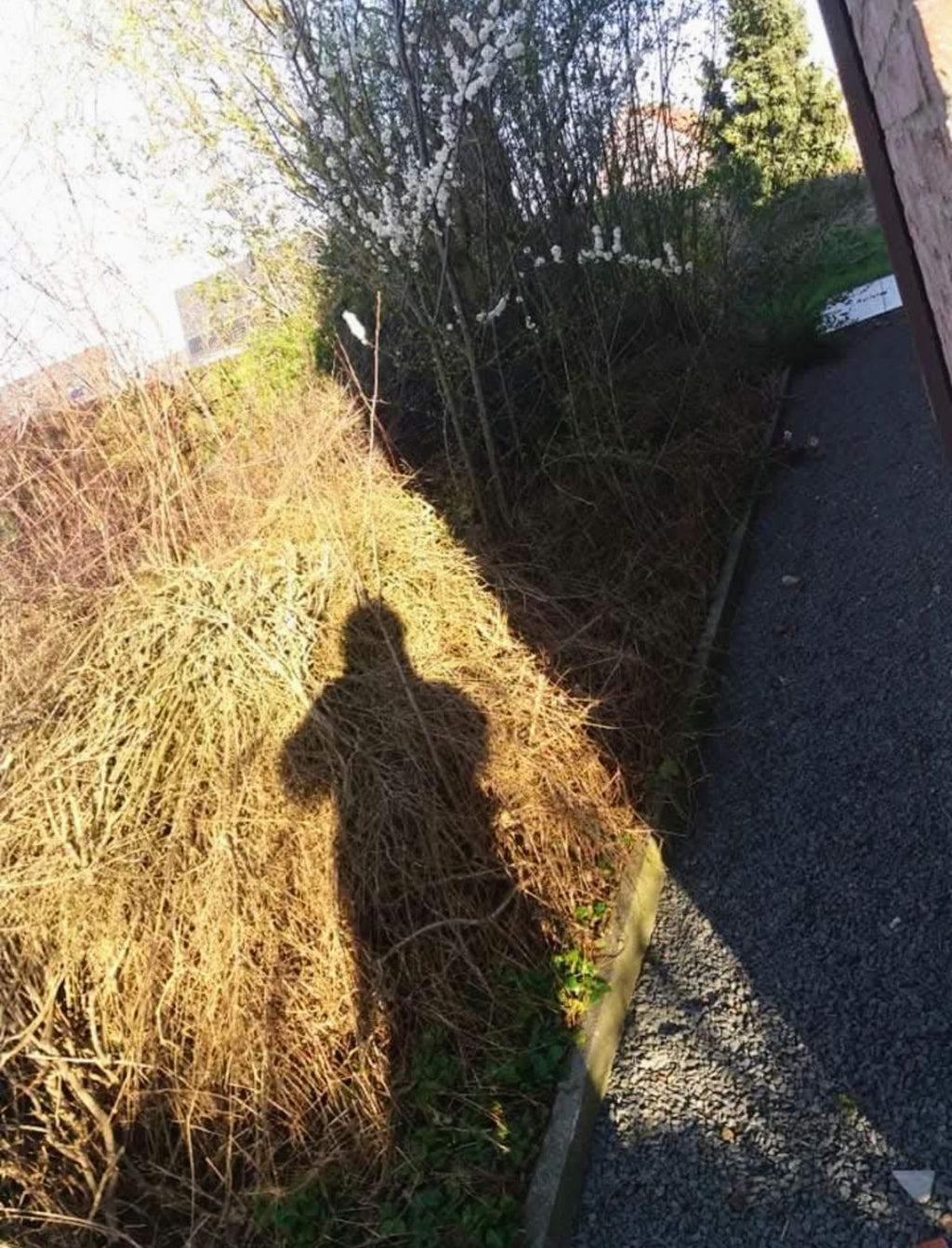 Volledige heraanleg tuin en voortuin